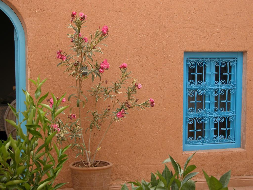 مبيت وإفطار الكيلا دي مجونة Kasbah Iswan المظهر الخارجي الصورة